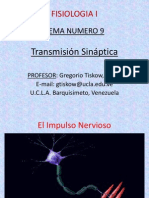 Sinapsis Electrica y Quimica