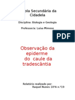 Relatório de Trabalho Práctico de Biologia-Geologia-Observação Da Epiderme Do Caule Da Tradescântia