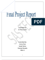 Final Report For Launching A Software House