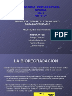 Proyecto Bolsa Biodegradable