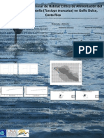 Pacheco-Polanco D. & Oviedo L. (2007) - Determinación Preliminar de Hábitat Crítico de Alimentación Del Delfín Nariz de Botella (Tursiops Truncatus) en Golfo Dulce, Costa Rica. Poster Presentation