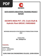 Escorts Summer Training Project Report