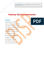 Hadoop Basic Commands