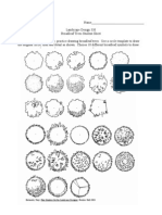 Broadleaf Trees Student Sheet