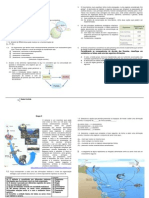 Ficha de Trabalho Nr. 1 - Ecossistemas (Soluções)