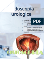 Endoscopia Urologica GROUP 2