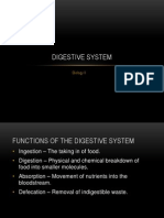 Digestive System Powerpoint Lecture