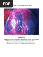 L'Induzione Elettromagnetica in Sintesi - Pizzardini Antonia