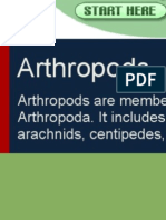 Biology Arthropod Powerpoint