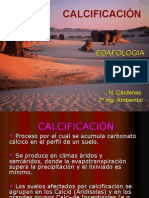 CALCIFICACIÓN