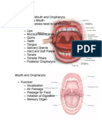 Assessing The Mouth and Oropharynx-Word