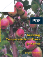 Growing Temperate Fruit Trees in Kenya