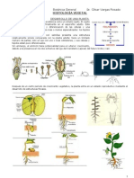 Histología