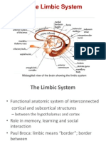 Limbic System Neuroscience