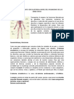 Función Del Aparato Circulatoria A Nivel Del Organismo de Los Seres Vivos