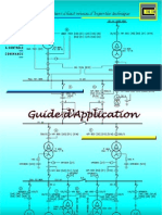 GUIA APLICACION ACTUAL CEE-ICE en FRANCES PDF