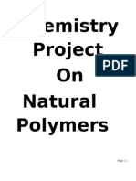 Project On Natural Polymers