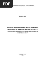 Moisés Toigo (2013) - Projeto de Pesquisa Intitulado "Estudo Do Processo de Vulcanização de Emendas de Borracha Nitrilica para Vedação de Valvulas Borboletas Utilizadas em Condutos de Pchs".