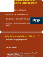 Dysfunctional Labour