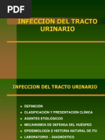 Infeccion Urinaria