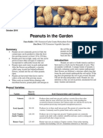 Horticulture Vegetables 2010-01pr