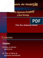 Periodonto de Inserção Texto