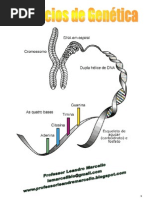 Exercícios de Genética