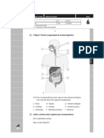 Digestivo e Urinario PDF