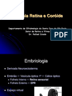 Anatomia Retina e Coroide!!