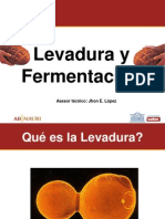 Presentacion Levadura y Fermentacion