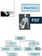 Sistema Nervoso Parte I