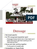 Dressage