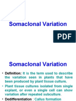 SomaClonal Variation