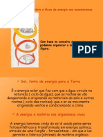 Ciclo de Matéria e Fluxo de Energia