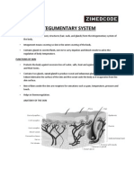 Integumentary System: Functions of Skin