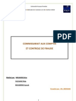 Commissariat Aux Comptes Et Contrôle de Fraude