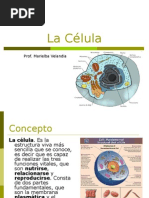 La Célula