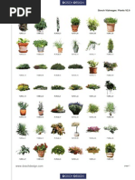 VizImages Plants