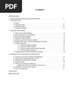 CUPRINS - Testarea Aplicatiilor Software. Studiu de Caz. Managementul Procesului Decizional