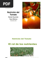 Nutrition of Tomato 2010 Guatemalav2