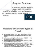 Runtime Program Structure