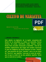 Cultivo de Maracuya