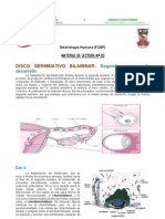 Disco Germinativo Bilaminar y Trilaminar