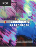 Las Medidas Cautelares y Las Sanciones