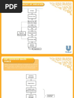 Unilever Sales Hierarchy