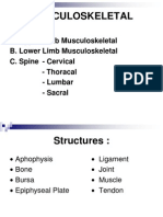 Musculoskeletal XXXXXXXXX