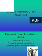 Female Reproductive Anatomy