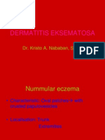 Dermatitis Eksematosa - Dr. Kristo A. Nababan, Sp. KK