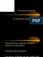 Fracture Healing