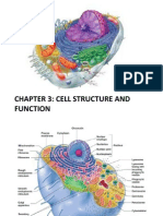 Chapter 3: Cell Structure and Function